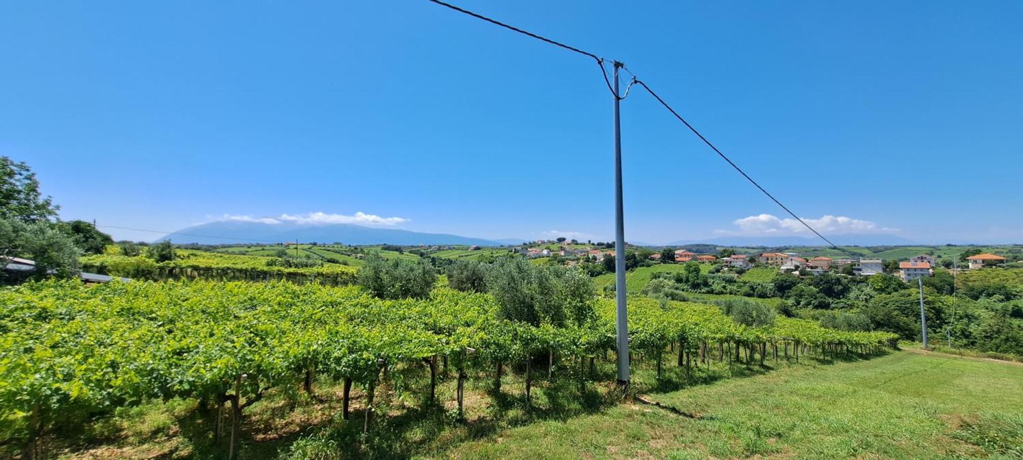 B & B Le Tre Rose Tollo Zewnętrze zdjęcie